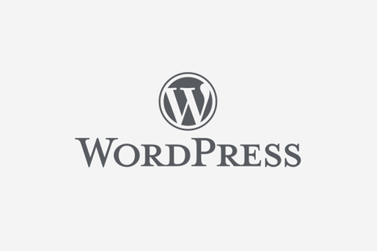 WordPressの更新が面倒なのはCMSの選び方が原因だった
